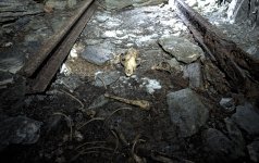 Scherm­afbeelding 2025-05-06 om 14.12.17 groot.jpeg