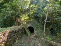 PXL_20250716_115921682 groot.jpeg