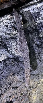 IMG_8947.jpeg