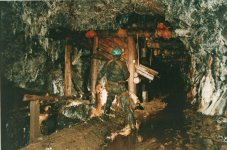 aberllyn_shute.jpg